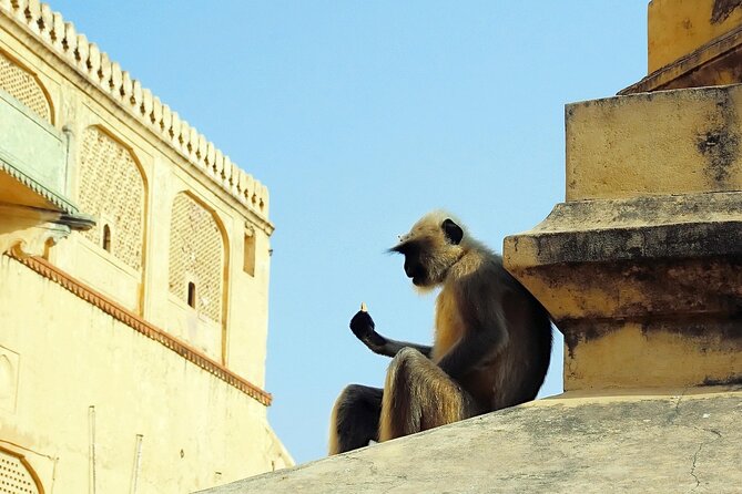Private Day Tour of Jaipur with a Guide and Including Lunch - Hawa Mahal: 953 windows and the art of watching the street