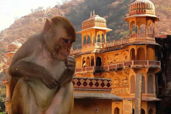 Private Day Trip to Abhaneri Stepwell & Monkey Temple from Jaipur - Price and Logistics: what you’re really paying for