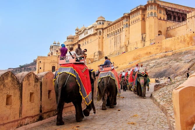 Private Overnight Jaipur City Tour from Delhi - Price and logistics: what you’re really paying for