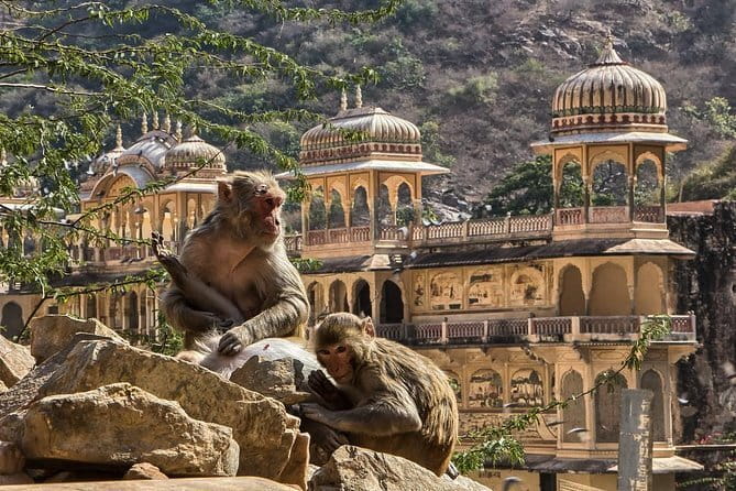 Private Overnight Jaipur City Tour from Delhi - Tickets included vs pay as you go: how to budget without surprises