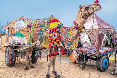 Private Same Day Trip to Pushkar from Jaipur - Brahma Temple: the only one, and why it anchors the day