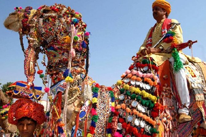 Private Same Day Trip to Pushkar from Jaipur - Lunch time and managing a full day without stress
