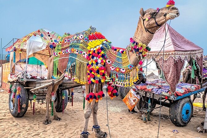 Private Same Day Trip to Pushkar from Jaipur - Brahma Temple: the only one, and why it anchors the day