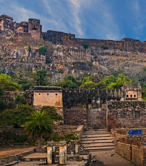 Ranthambore WildLife (tiger safari)Full Day Tour From Jaipur - Jaipur to Ranthambore: the drive that sets the tone