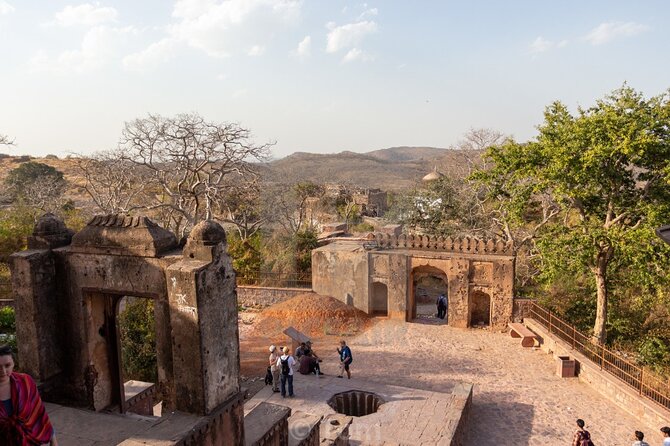 Two Night Safari Experience Ranthambore National Park &Transfers - Who this experience fits best