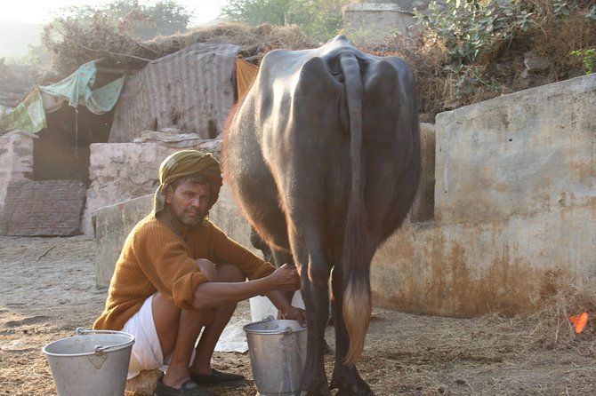 Vintage Walk Amer - Jagat Shiromani Ji Temple and the Meera Bai connection