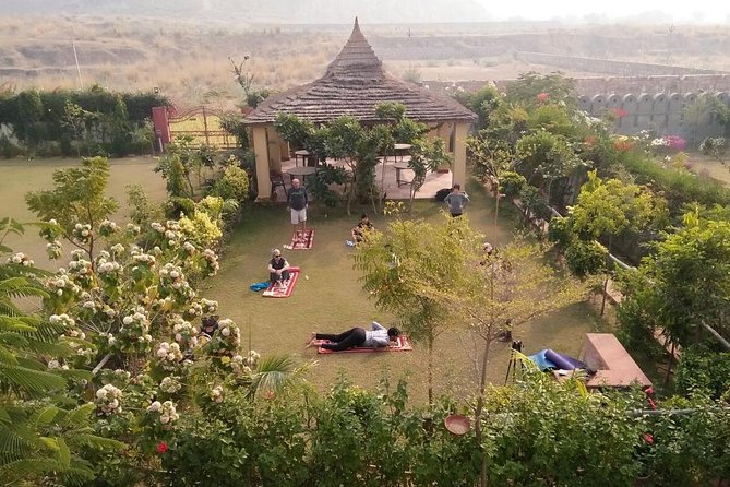 Yoga In Jaipur - Key Things I’d Bet You’ll Appreciate